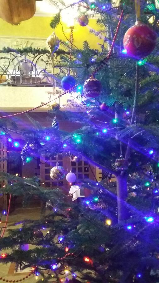 Hotel Letuchiy Gollandets Užhorod Esterno foto